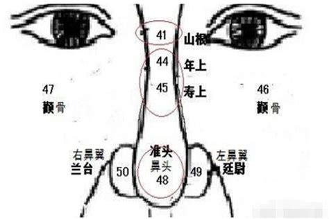 左鼻孔內有痣|【左鼻孔內有痣】左鼻孔內痣的含義與一生運勢！驚人相關聯研究。